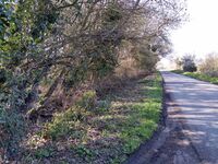 Hedge trimmed back on Moor Mill Road April 2023