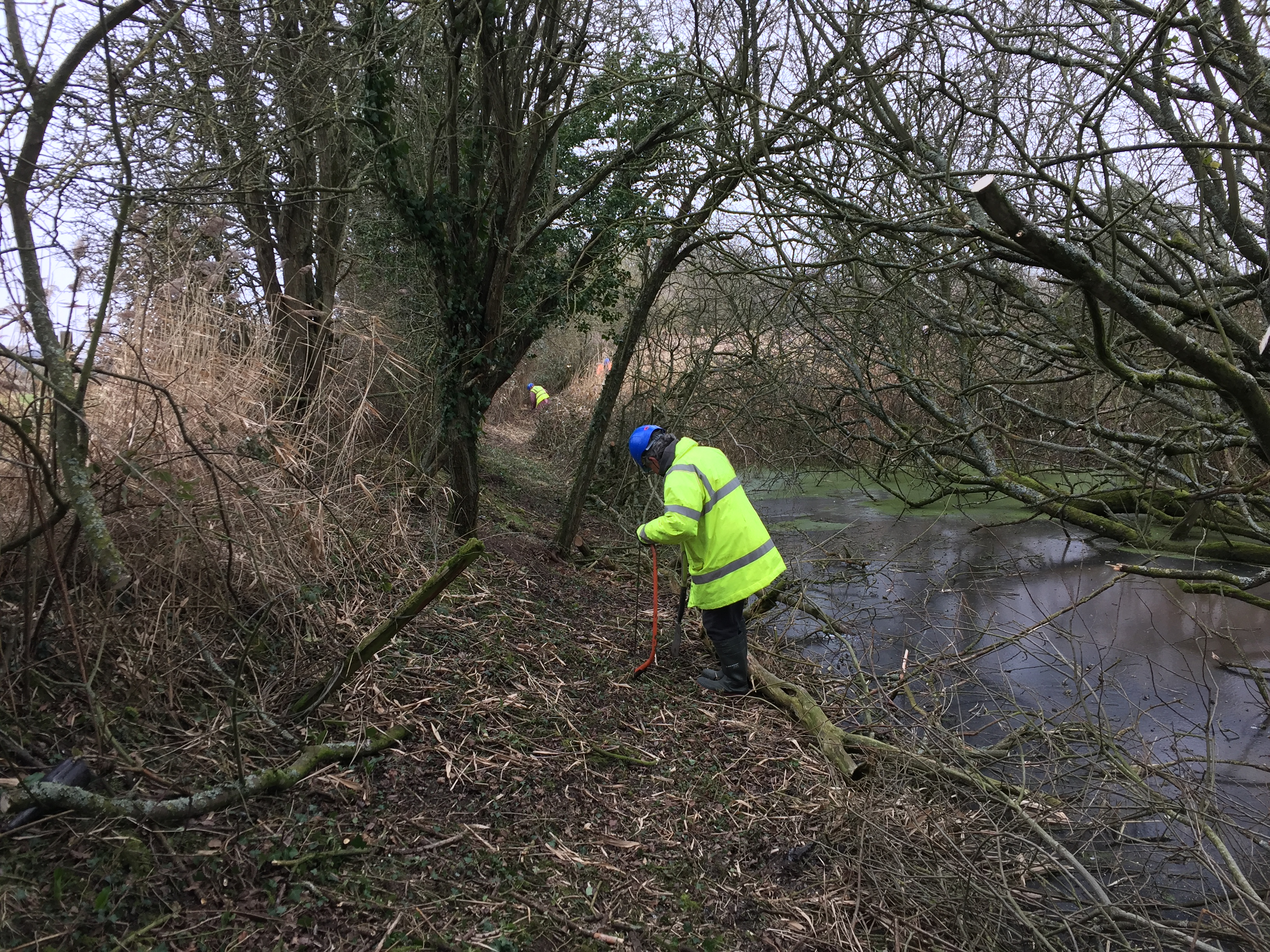 Feb 04 Clearing path on E side of canal past Green Lane Farm