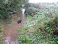 20201004 080651 flooded footpath