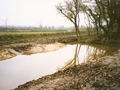 PS wetland habitat area from northeast