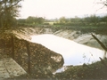 PS wetland habitat area from northwest