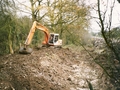 PS wetland habitat area taking shape