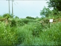 Templars old brick Bridge 1990