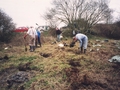 VM Chaddington Planting Willows 1