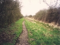 VM Chaddington towpath looking towards lock