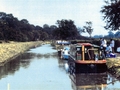 VM Summer 1995 narrowboat by towpath