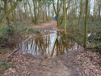 Flooded path