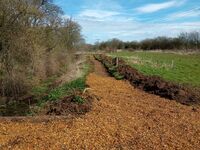 The new path in the meadow area