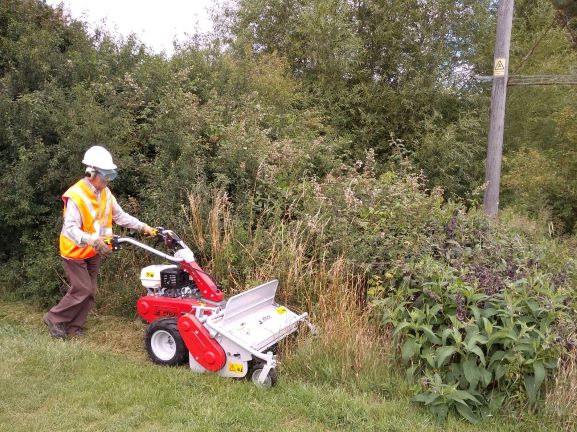 Mower verge trimming