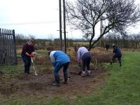 Tree planting December 2021