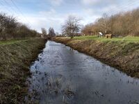 The canal in the Park winter 2022