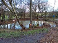 Dredging complete on North Pond Dec 23