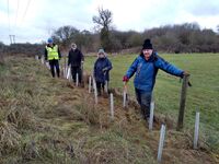 Tree planting January 2023