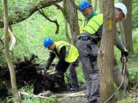 Clearing tree stumps from the towpath