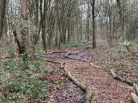 Wood chippings on a main path