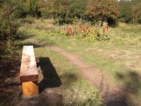New bench in the meadow area