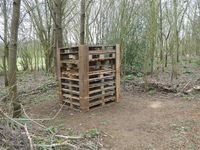 The bug hotel in the copse