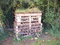 Bug hotel in meadow area