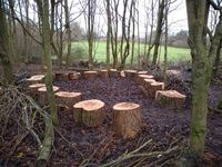 Seating in copse