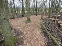 Copse path - Dec 2020