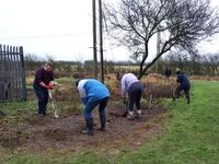 Planting saplings Dec 2021