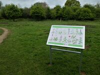 Wildflower Meadow habitat sign