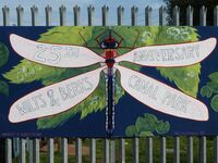 Murals painted by University of Gloucestershire students