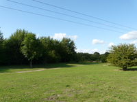 Across the park to the copse