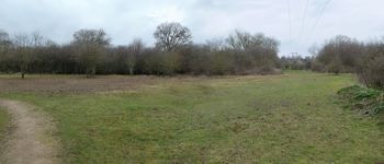 Cleared meadow area