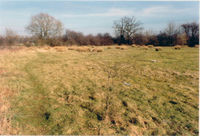 Park site 1995