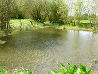 One of the seasonal ponds