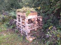 Bug Hotel No 3