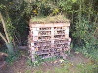 Bug Hotel No 4