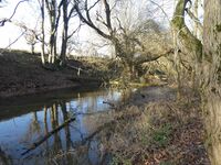 Towards the Northern end of the canal length