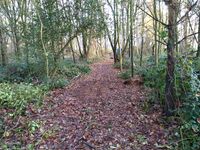 Uffington Gorse - new path to canal Dec 23