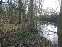 The towpath looking south