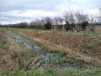 The canal bank following Arval's work March 2023