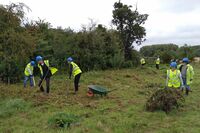 Team Arval - August 8th clearing around tree saplings