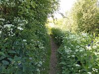 Footpath before