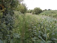 Towpath to Station Road