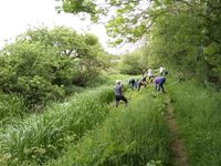 Towpath to Station Road