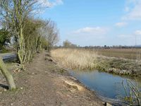 Looking east from Townsend Road (2013 during towpath clearing)