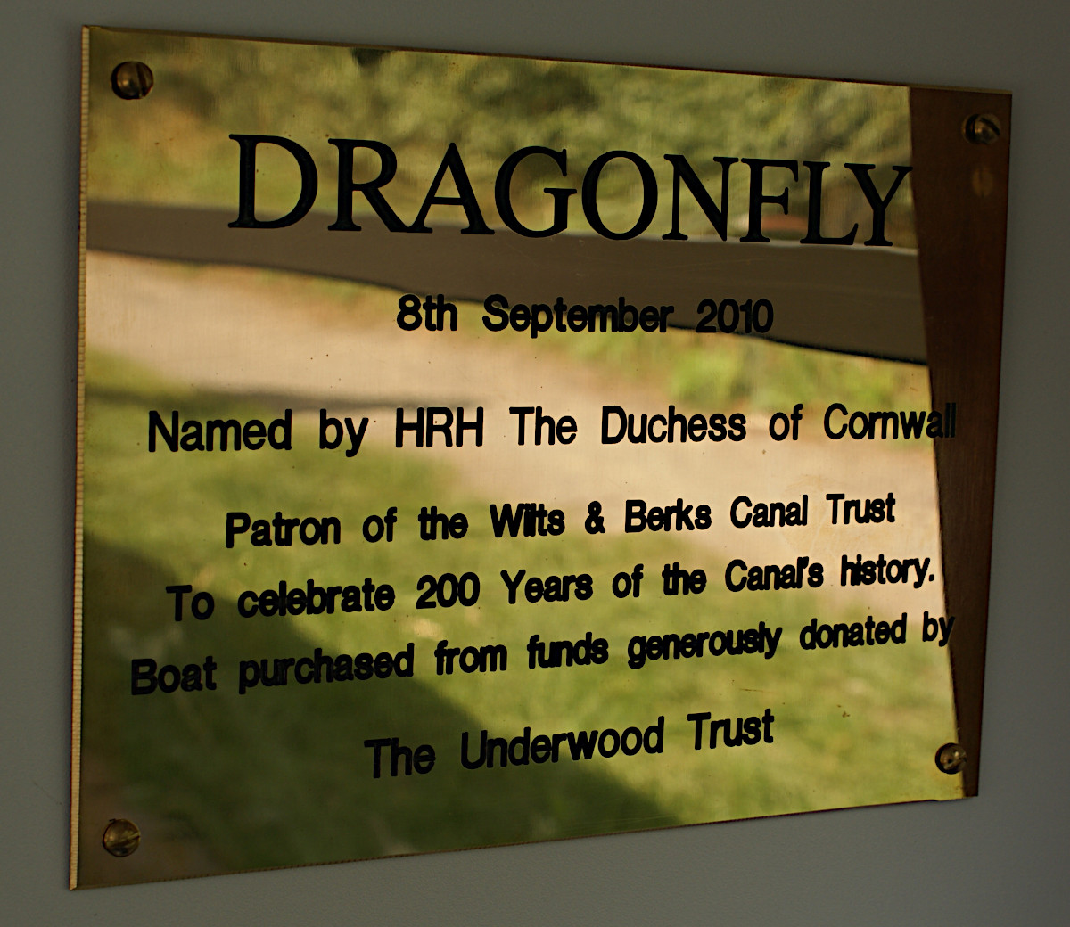 Dragonfly naming plaque